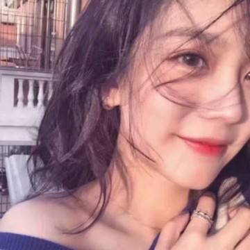 游戏蜂窝免root免vip下载
