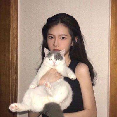 山海计划最新版下载